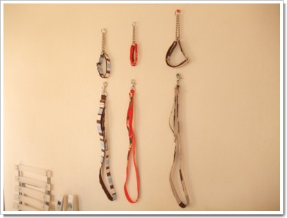 オリジナルリード