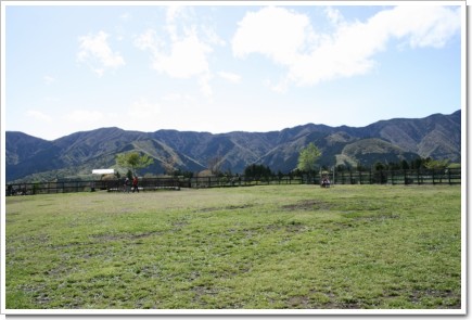 朝霧フィールドドッグガーデン